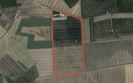 Farm and Ranch in Pasquotank County, North Carolina