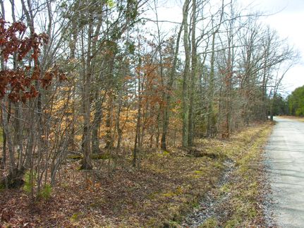 Recreational Property in Louisa County, Virginia