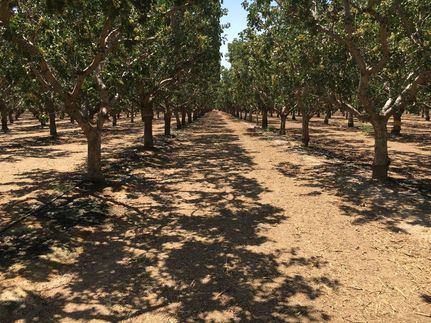 Recreational Property for sale in Kern County, California