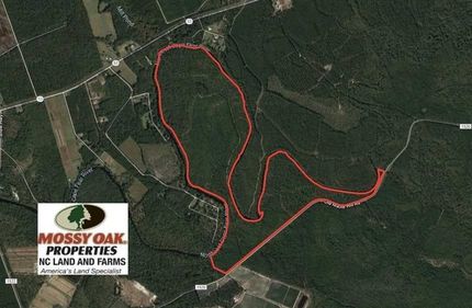 Farm and Ranch in Pender County, North Carolina