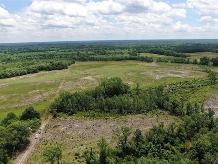 Timberland Property in Marion County, South Carolina
