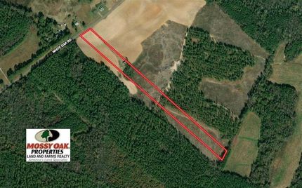 Timberland Property in Halifax County, North Carolina