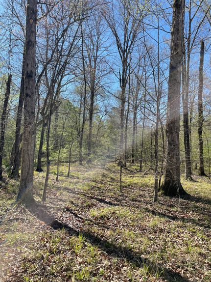 Timberland Property in Copiah County, Mississippi
