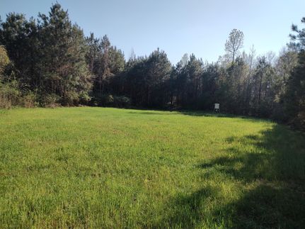 Undeveloped Land in Butler County, Alabama