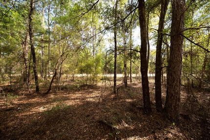 Undeveloped Land in Putnam County, Florida