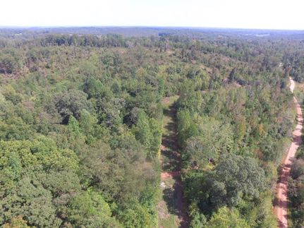 Undeveloped Land in Stephens County, Georgia