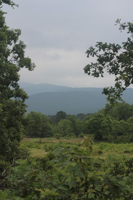 Horse Property in Le Flore County, Oklahoma