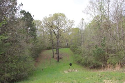 Farm and Ranch in Amite County, Mississippi