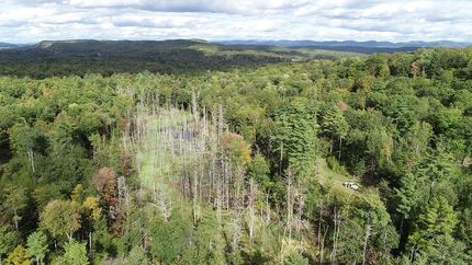 Undeveloped Land in Washington County, New York