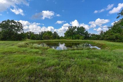 Undeveloped Land in Burleson County, Texas