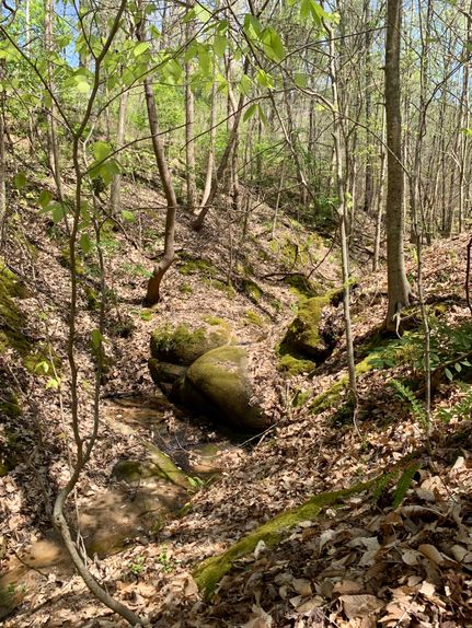 Land for sale in Elbert County, Georgia