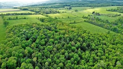 Undeveloped Land in Steuben County, New York