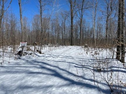 Recreational Property in Langlade County, Wisconsin