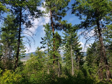 Recreational Property in Ferry County, Washington