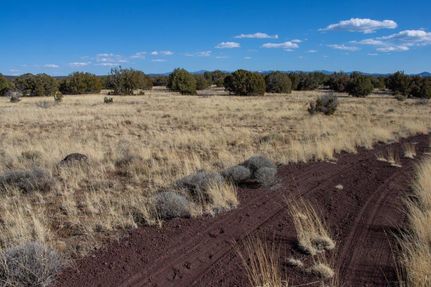 Hunting Property in Apache County, Arizona