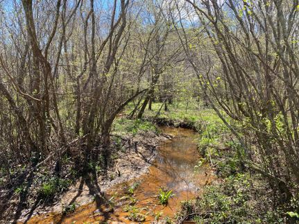 Recreational Property in Henry County, Alabama