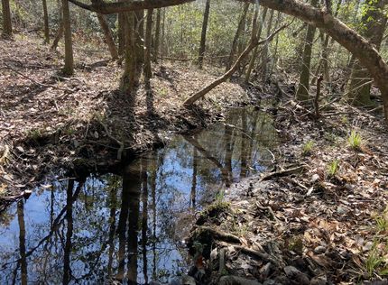 Farm and Ranch in Mobile County, Alabama