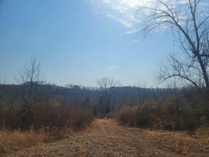 Undeveloped Land in Wirt County, West Virginia