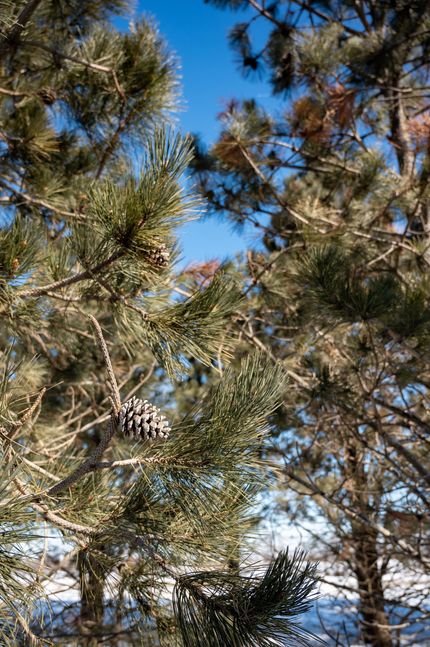 Recreational Property in Day County, South Dakota