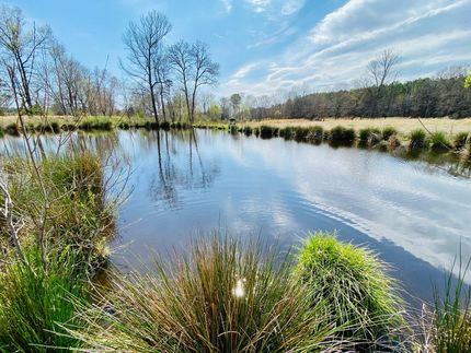 Farm and Ranch in Prentiss County, Mississippi