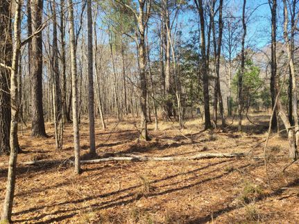 Undeveloped Land in Beaufort County, South Carolina