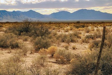 Farm and Ranch for sale in Cochise County, Arizona