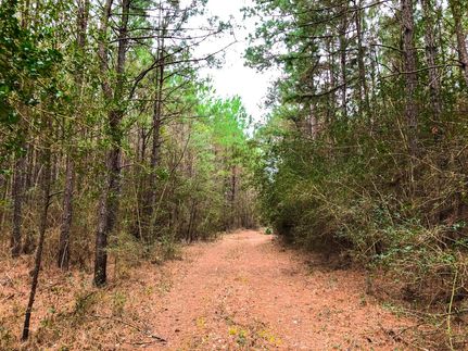 Farm and Ranch in Tyler County, Texas