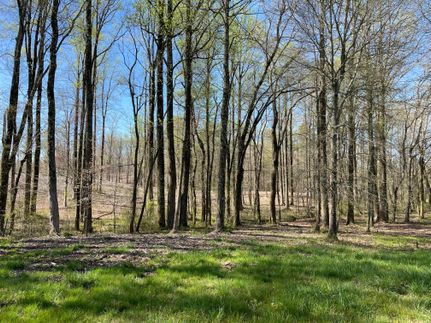 Recreational Property in Hall County, Georgia