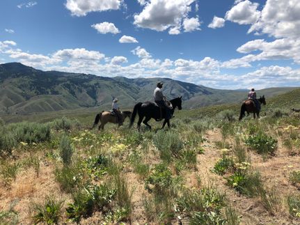 Timberland Property in Baker County, Oregon