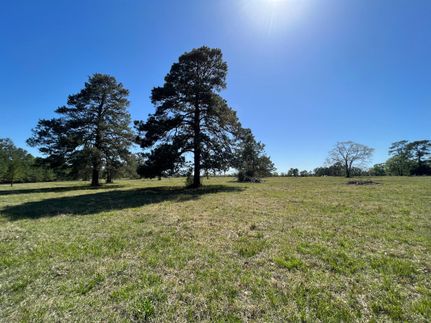 Undeveloped Land in Montgomery County, Texas