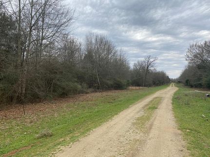 Timberland Property in Freestone County, Texas
