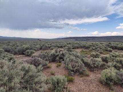 Undeveloped Land in Costilla County, Colorado