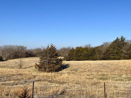 Timberland Property in Greene County, Missouri