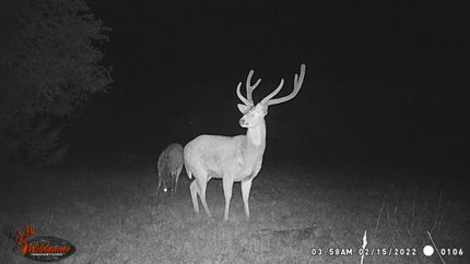 Farm and Ranch in Edwards County, Texas