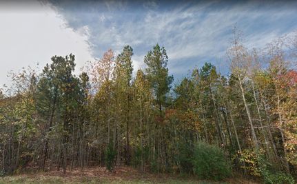 Undeveloped Land in Cherokee County, South Carolina