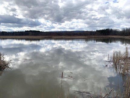 Undeveloped Land in Albany County, New York