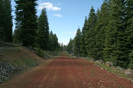 Timberland Property in Modoc County, California