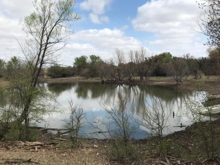 Undeveloped Land in Coleman County, Texas