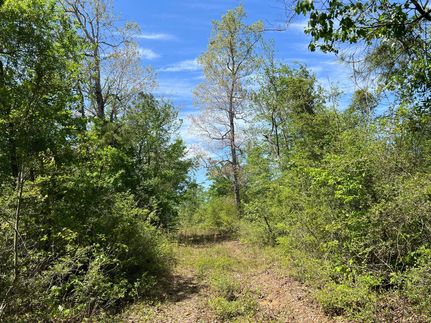 Farm and Ranch in Jasper County, Texas