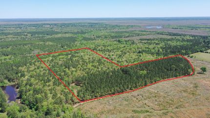 Timberland Property in Miller County, Arkansas