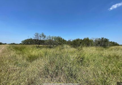 Land in Jim Wells County, Texas