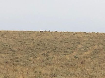 Undeveloped Land in El Paso County, Colorado