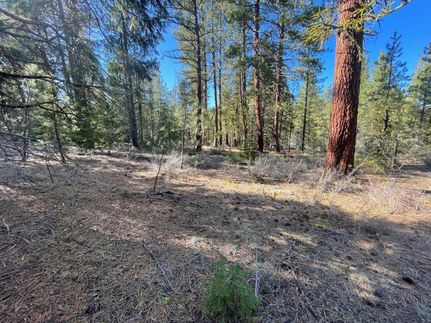 Riverfront Property in Klamath County, Oregon