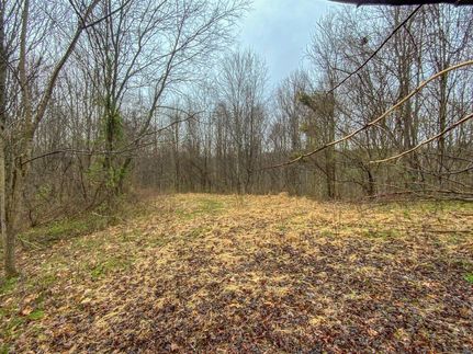 Recreational Property in Noble County, Ohio