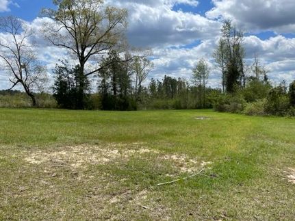 Timberland Property in Bibb County, Alabama