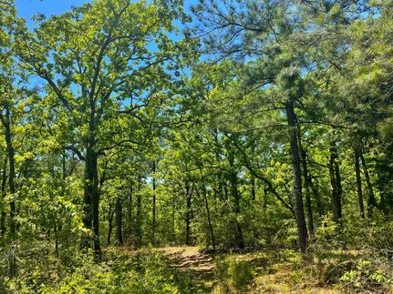 Undeveloped Land in Leon County, Texas