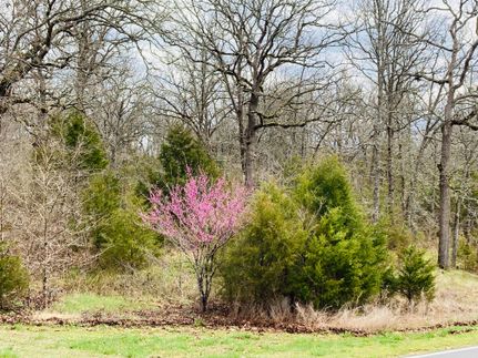 Farm and Ranch in Stone County, Missouri