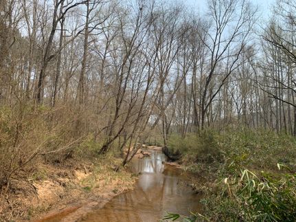 Recreational Property in Heard County, Georgia