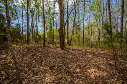 Undeveloped Land in Northumberland County, Virginia