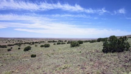 Farm and Ranch in Apache County, Arizona